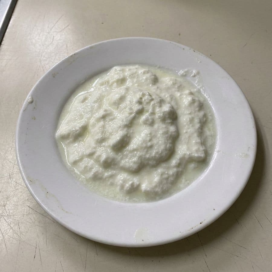 Dahi simple / Plain Dahi